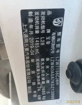 2019 Golden Dragon New Era Sea Lion 9