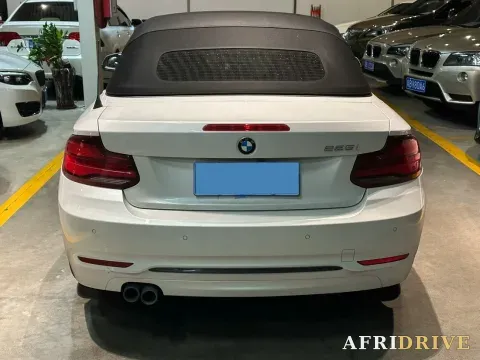 2019 BMW 2 Series 6