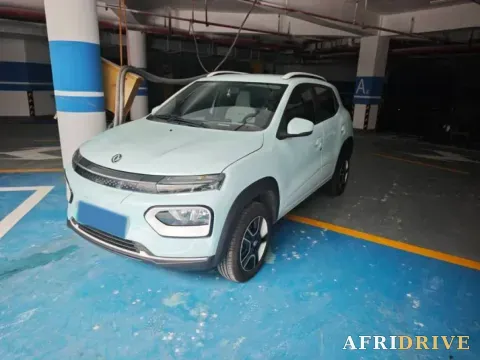 2022 DongFeng eπ Nami EX1
