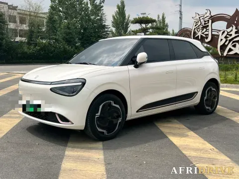 2024 DongFeng eπ 01