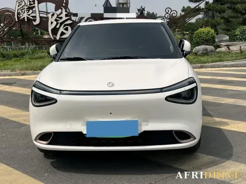 2024 DongFeng eπ 01 2