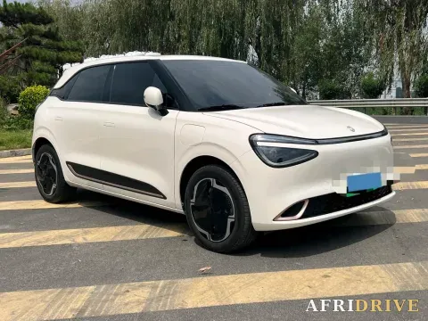 2024 DongFeng eπ 01 3