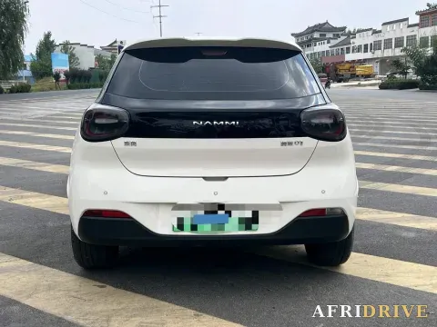 2024 DongFeng eπ 01 8