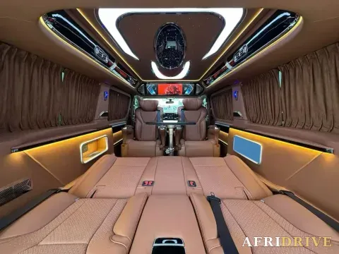 2019 Golden Dragon Sea Lion 6