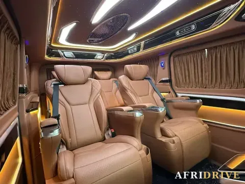 2019 Golden Dragon Sea Lion 7