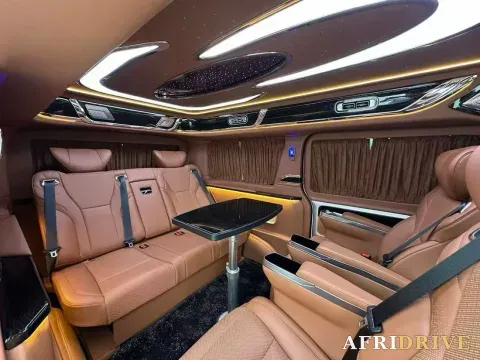 2019 Golden Dragon Sea Lion 8