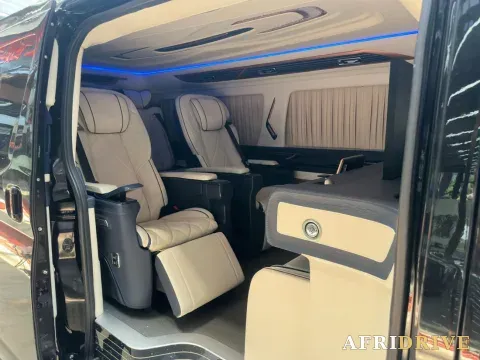 2019 Golden Dragon Sea Lion 7