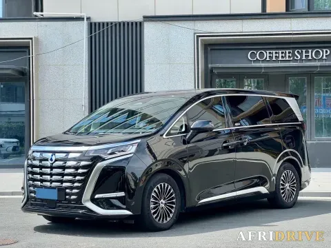 2024 Denza D9