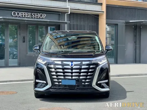 2024 Denza D9 2