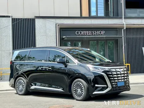 2024 Denza D9 3