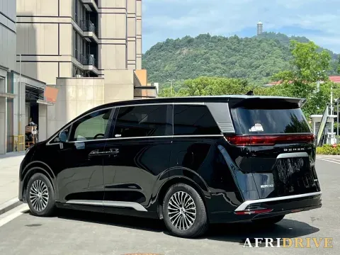2024 Denza D9 8