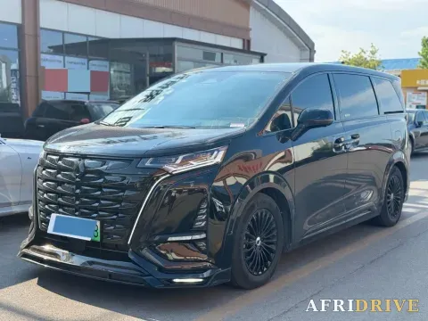 2024 Denza D9