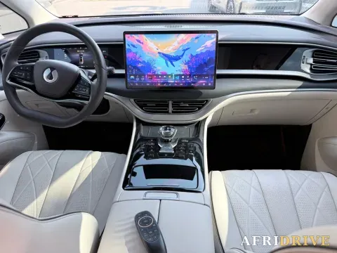 2024 Denza D9 4