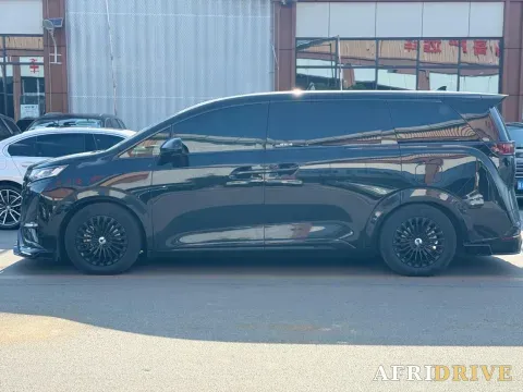 2024 Denza D9 9