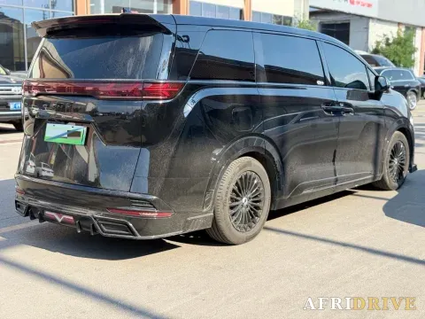 2024 Denza D9 10