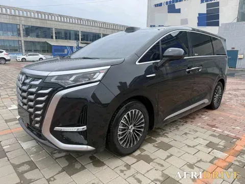 2025 Denza D9