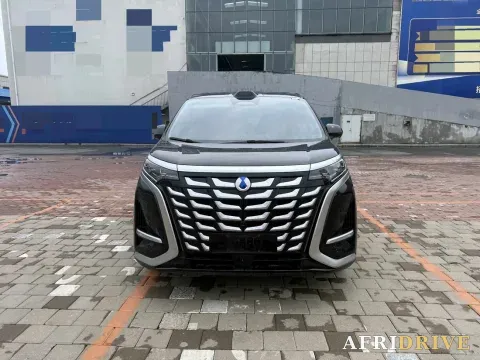2025 Denza D9 2