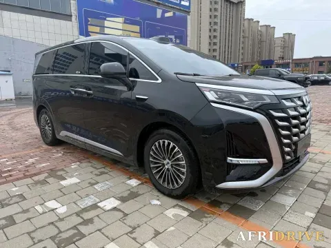 2025 Denza D9 3