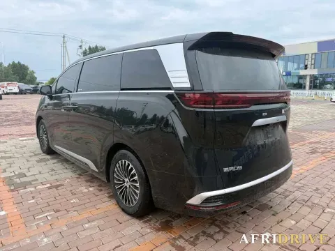2025 Denza D9 6