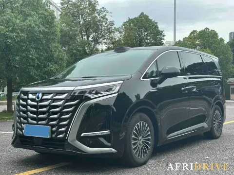 2025 Denza D9
