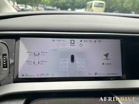 2025 Denza D9 14