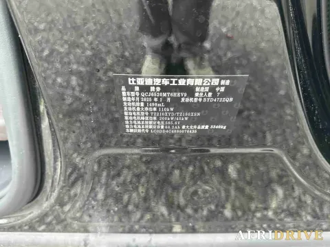 2025 Denza D9 15