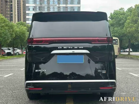 2025 Denza D9 3