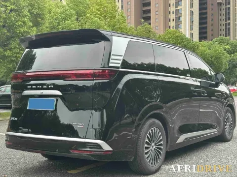 2025 Denza D9 4