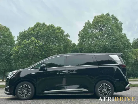 2025 Denza D9 5