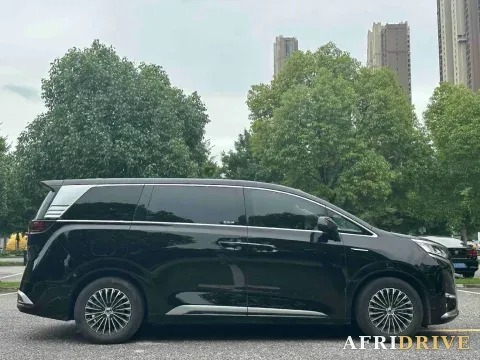 2025 Denza D9 6