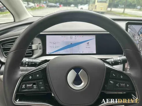 2025 Denza D9 7