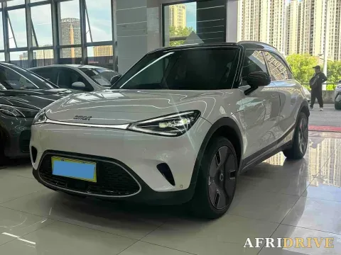 2022 Smart smart Elf 1