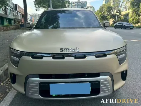 2026 Smart smart Elf 5 5