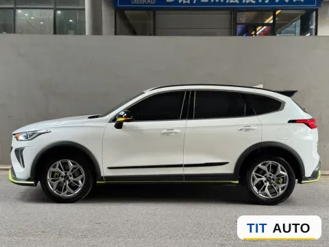 2022 Haval Rabbit 13