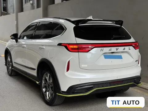 2022 Haval Rabbit 3