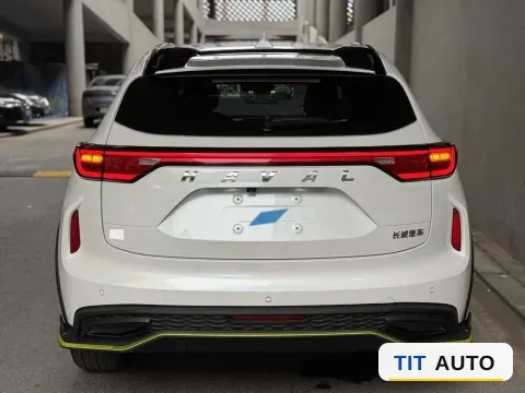2022 Haval Rabbit 4
