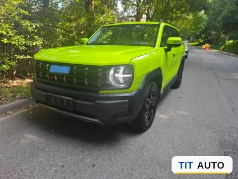 2022 Haval X Dog