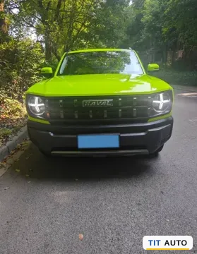2022 Haval X Dog 2