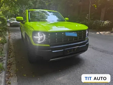 2022 Haval X Dog 3
