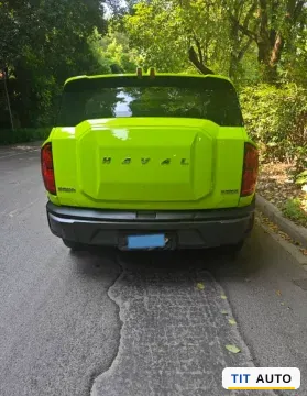 2022 Haval X Dog 4