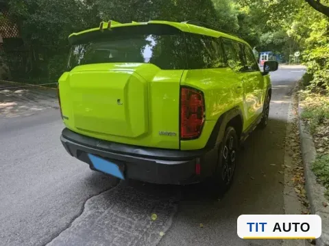 2022 Haval X Dog 5