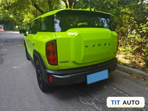 2022 Haval X Dog 6