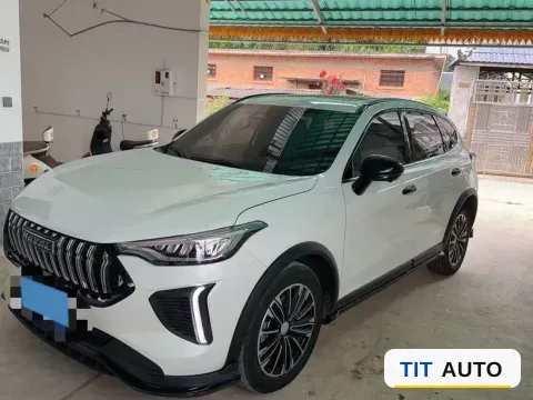 2023 Haval Rabbit