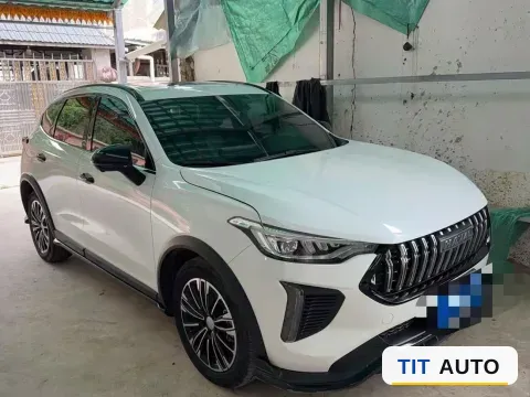 2023 Haval Rabbit 4