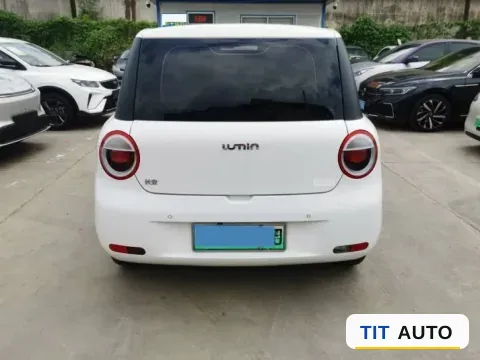 2022 Levdeo Mango 4