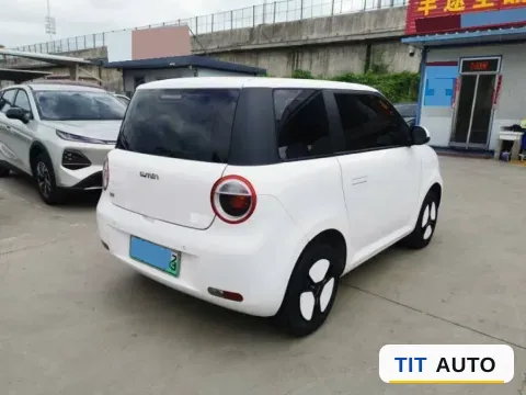 2022 Levdeo Mango 6