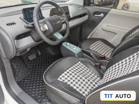 2022 Levdeo Mango 7
