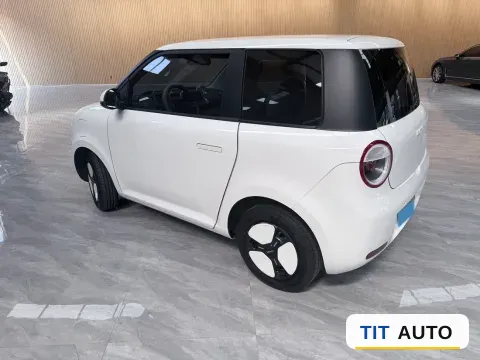 2022 Levdeo Mango 5
