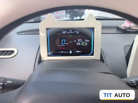 2022 Levdeo Mango 6