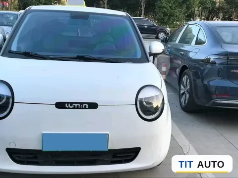 2022 Levdeo Mango 6